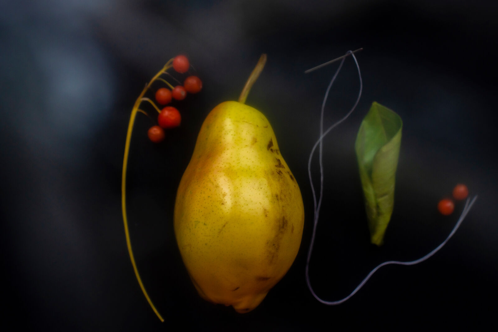 Olga Dyakina is a interdisciplinary artist. Still lifes. Untitled