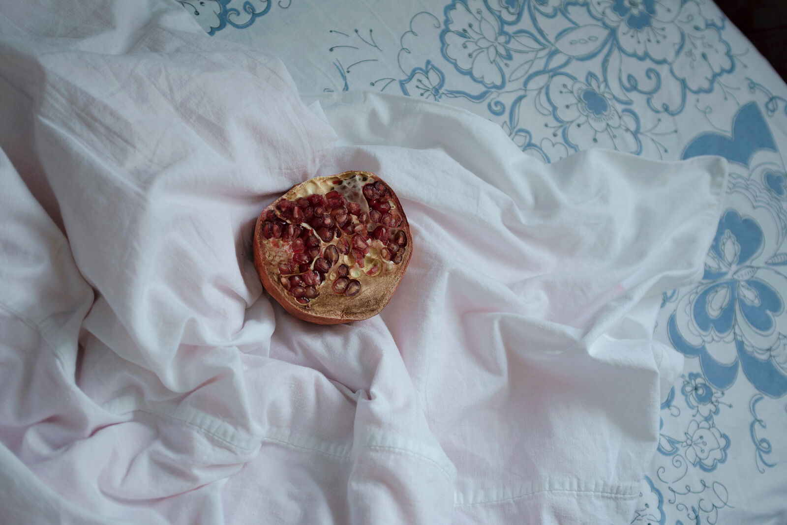 Olga Dyakina is a interdisciplinary artist. Still lifes. Untitled