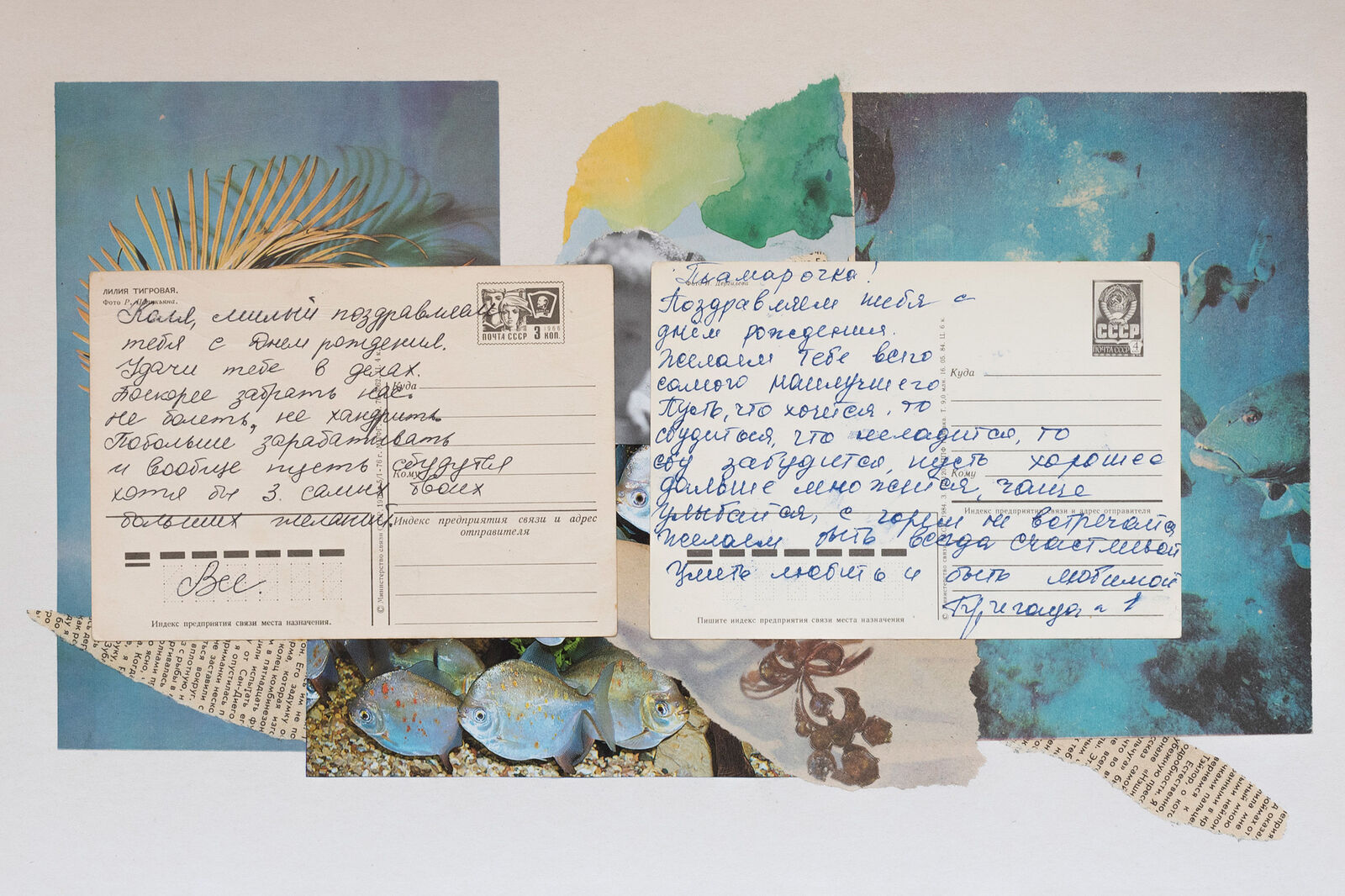 Olga Dyakina is a interdisciplinary artist. Reverse side, 2024-ongoing. 09.jpg